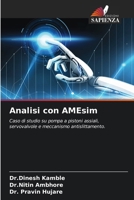 Analisi con AMEsim (Italian Edition) 6207183762 Book Cover
