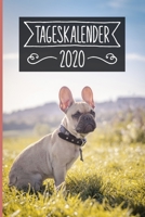 Tageskalender 2020: Terminkalender ca DIN A5 weiß über 370 Seiten I 1 Tag eine Seite I Jahreskalender I Französische Bulldogge I Hunde 170208292X Book Cover