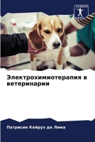 Электрохимиотерапия в в& 6207277228 Book Cover
