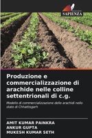 Produzione e commercializzazione di arachide nelle colline settentrionali di c.g.: Modello di commercializzazione delle arachidi nello stato di Chhattisgarh 6206082687 Book Cover