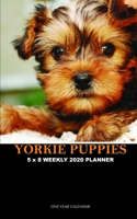 Yorkie Puppies 5 x 8 Weekly 2020 Planner: One Year Calendar 170792032X Book Cover