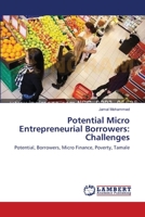 Potential Micro Entrepreneurial Borrowers: Challenges 3659158089 Book Cover