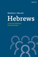 Hebrews: A Social Identity Commentary 0567696030 Book Cover