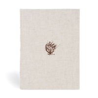 CSB Experiencing God Bible, Cream Cloth Over Board, Indexed, Full-Color Design, Articles, Character Profiles, Chapter Questions, Key Verse Icons, Full-Color Maps, Easy-to-Read Bible Serif Type B0F84HCG45 Book Cover