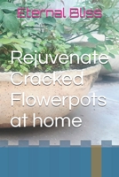 Rejuvenate Cracked Flowerpots at home B0FDJWVFG8 Book Cover