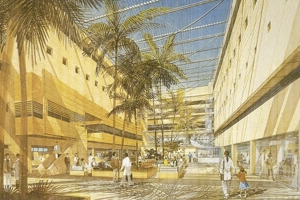 The Architecture of Hospitals 9056624644 Book Cover