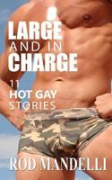 Large and in Charge 11 Hot Gay Stories 1535283815 Book Cover