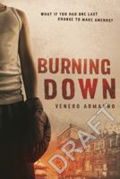 Burning Down 0702259705 Book Cover