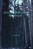 Delving Within Using Meditation 1304479854 Book Cover