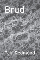 Brud B0GRPHV26Z Book Cover
