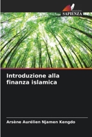 Introduzione alla finanza islamica (Italian Edition) 6207186826 Book Cover