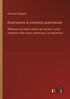 Osservazione di cistotomia quadrilaterale: Riflessioni sul miglior metodo per estrarre i calcoli voluminosi dalla vesica urinaria per la via del perineo (Italian Edition) 3385077680 Book Cover