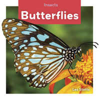 Butterflies 1532125070 Book Cover