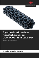Synthesis of carbon nanotubes using Co/CaCO3 as a catalyst 6202458585 Book Cover