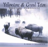 Yellowstone & Grand Teton Wildlife Portfolio 1560378026 Book Cover