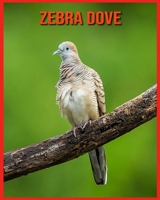 Zebra Dove: Childrens Book Amazing Facts & Pictures about Zebra Dove B08W7DWZP4 Book Cover