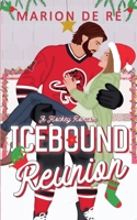 Icebound Reunion (festive cover) (New York Raptors) B0H6NC9CKJ Book Cover