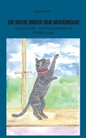 Die Katze hinter dem Wolkenglas: Ivo und Stella - eine Freundschaft mit Hindernissen (German Edition) 3819248439 Book Cover