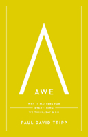 Awe: Why It Matters for Everything We Think, Say, and Do 1433547074 Book Cover