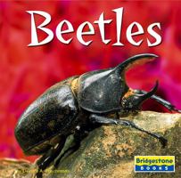 Beetles (World of Insects.) 073683706X Book Cover