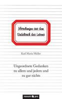 Mitteilungen aus dem Sudelbuch des Lebens: Ungeordnete Gedanken zu allem und jedem und zu gar nichts 3958404901 Book Cover