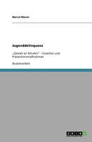 Jugenddelinquenz: „Gewalt an Schulen" - Ursachen und Präventionsmaßnahmen 3640724984 Book Cover