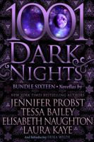 1001 Dark Nights: Bundle Sixteen 1948050684 Book Cover