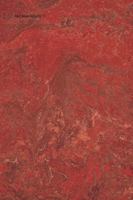 Red Book Volume 11 B0G2BHGN6N Book Cover