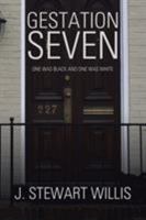 Gestation Seven: One Was Black and One Was White 1543410146 Book Cover