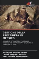 Gestione Della Precarietà in Messico 6209314805 Book Cover