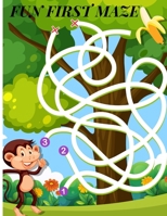 Fun First Maze: Mazes Book For Kids 4-8 year, Facts And Information B08SWN4ZQD Book Cover