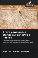 Breve panoramica storica sul concetto di numero (Italian Edition) 6208335256 Book Cover
