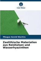 Zeolithische Materialien aus Reishülsen und Wasserhyazinthen (German Edition) 6206646637 Book Cover