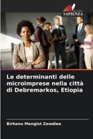 Le determinanti delle microimprese nella città di Debremarkos, Etiopia (Italian Edition) 6208513251 Book Cover