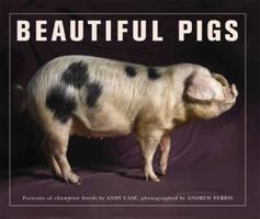 Beautiful Pigs Portraits of Fine Breeds 0312585969 Book Cover