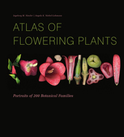 Atlas of Flowering Plants: Visual Studies of 200 Deconstructed Botanical Families 0764361333 Book Cover