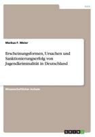 Erscheinungsformen, Ursachen Und Sanktionierungserfolg Von Jugendkriminalitat in Deutschland 3656598800 Book Cover