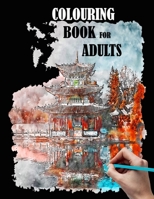 Colouring book for adults: city, houses, flowers, coloring books for adult, beautiful patterns and sketches to color B08YD5QN6N Book Cover