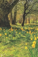 2020 Planner: Daffodils & Aquamarine: March 1710295392 Book Cover