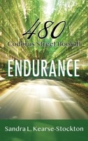 Endurance: 480 Codorus Street Book 3 B0BW37KXCZ Book Cover
