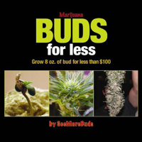 Marijuana Buds for Less: Grow 8 oz. of Bud for Less Than $100 0932551874 Book Cover