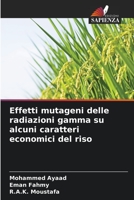 Effetti mutageni delle radiazioni gamma su alcuni caratteri economici del riso 6205319233 Book Cover