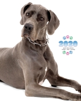 2020 Great Dane Planner - Weekly - Daily - Monthly 164252641X Book Cover